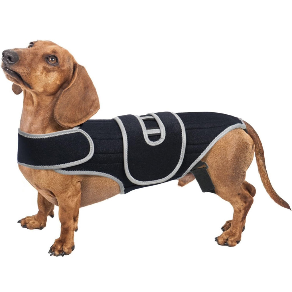 Pet Support Vest for Dogs with Intervertebral Disc Injury, Back Fracture Protection Belt, Large Dog Lumbar Support
