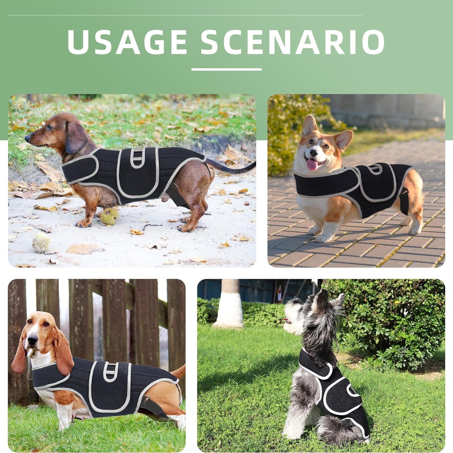 Pet Support Vest for Dogs with Intervertebral Disc Injury, Back Fracture Protection Belt, Large Dog Lumbar Support