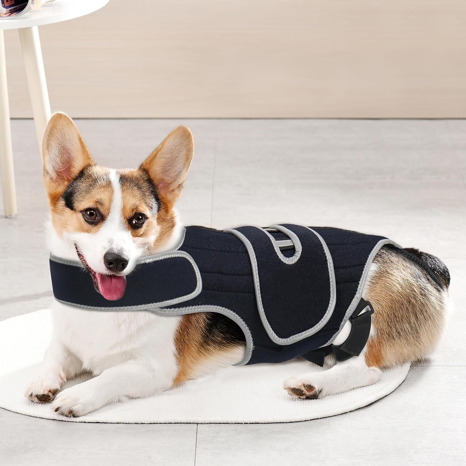 Pet Support Vest for Dogs with Intervertebral Disc Injury, Back Fracture Protection Belt, Large Dog Lumbar Support