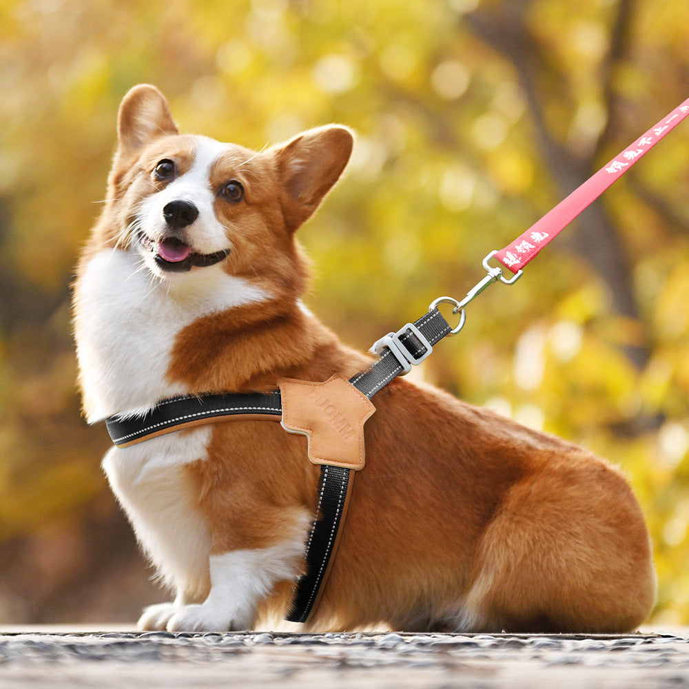 Dog Harness Chest Strap for Small and Medium Dogs, Reflective Leash for Outdoor Walking, Anti-Pull Design for Corgi, Bichon