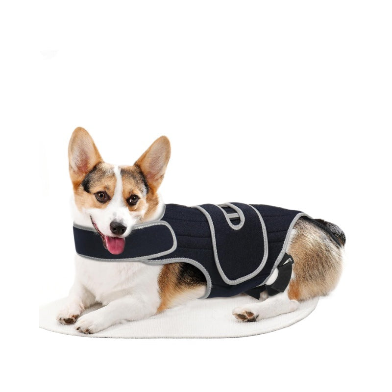 Pet Support Vest for Dogs with Intervertebral Disc Injury, Back Fracture Protection Belt, Large Dog Lumbar Support